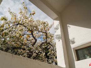 2002 Tuna Canyon Road, Topanga CA 90290