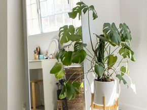 7815 Denivelle Road, Sunland CA 91040