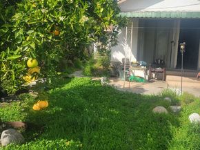 2432 Exposition Place, Los Angeles CA 90018