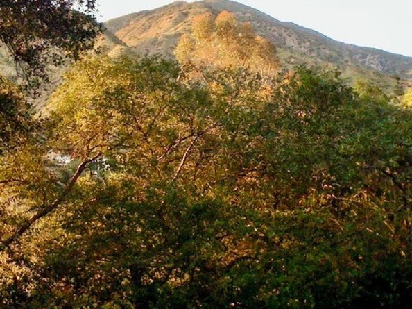 15 Vista Circle Circle, Sierra Madre CA 91024