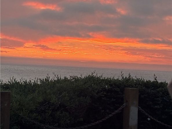 4667 Ocean Boulevard 106, San Diego CA 92109