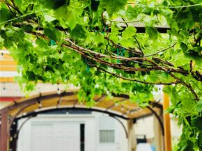 421 E 219th, Carson CA 90745