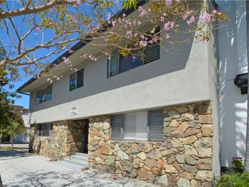 338 Elm Avenue
