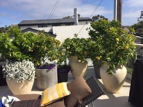 720 1/2 Poinsettia Ave, Corona Del Mar CA 92625