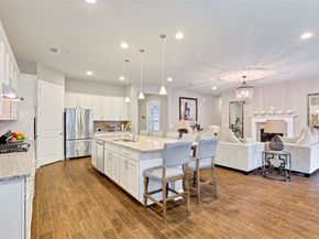 342 Kerry Bog Lane, Spring TX 77382