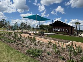 21007 Carob Tree Lane, Tomball TX 77377