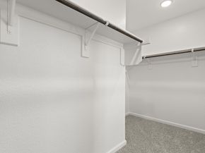 21007 Carob Tree Lane, Tomball TX 77377