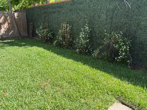 1615 Lakeside Enclave Drive, Houston TX 77077