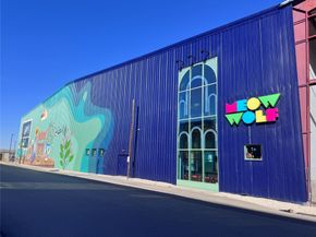 3422 Elser Street, Houston TX 77009