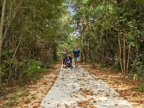 18786 Monetta Drive, New Caney TX 77357