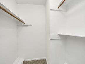 24807 Glen Loch Drive, Spring TX 77380