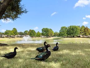 8034 Ivy Bush Bend Lane, Richmond TX 77407