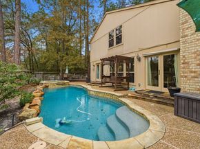 22 Berryfrost Lane, The Woodlands TX 77380