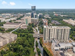 22 Berryfrost Lane, The Woodlands TX 77380