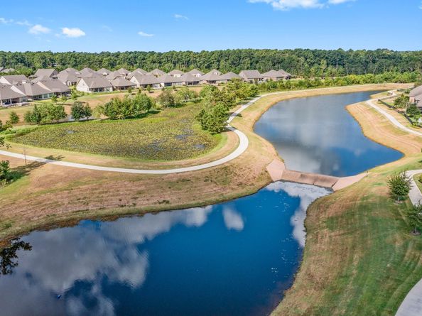 253 Palomino Court, The Woodlands TX 77382