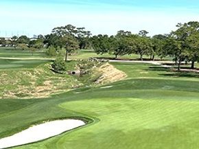 5327 Paseo Caceres Drive, Houston TX 77007