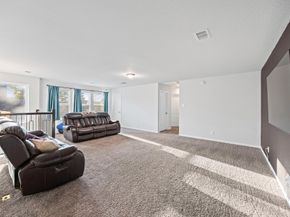 2207 Harmony Point Lane, Spring TX 77386