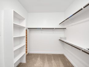 23696 Alder Branch Lane, New Caney TX 77357