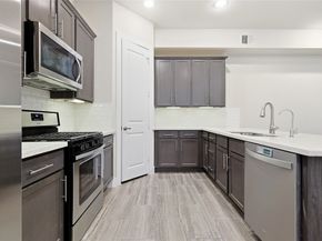 8810 Hollister Pine Court, Houston TX 77080