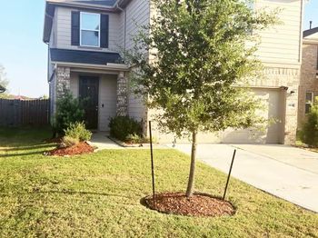 6035 Diamond Sky Lane