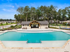 20875 Wildbird Cherry Lane, Porter TX 77365