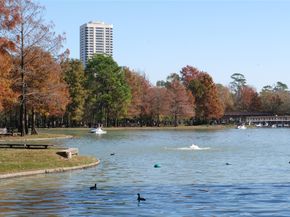 1701 Hermann Drive 24A, Houston TX 77004